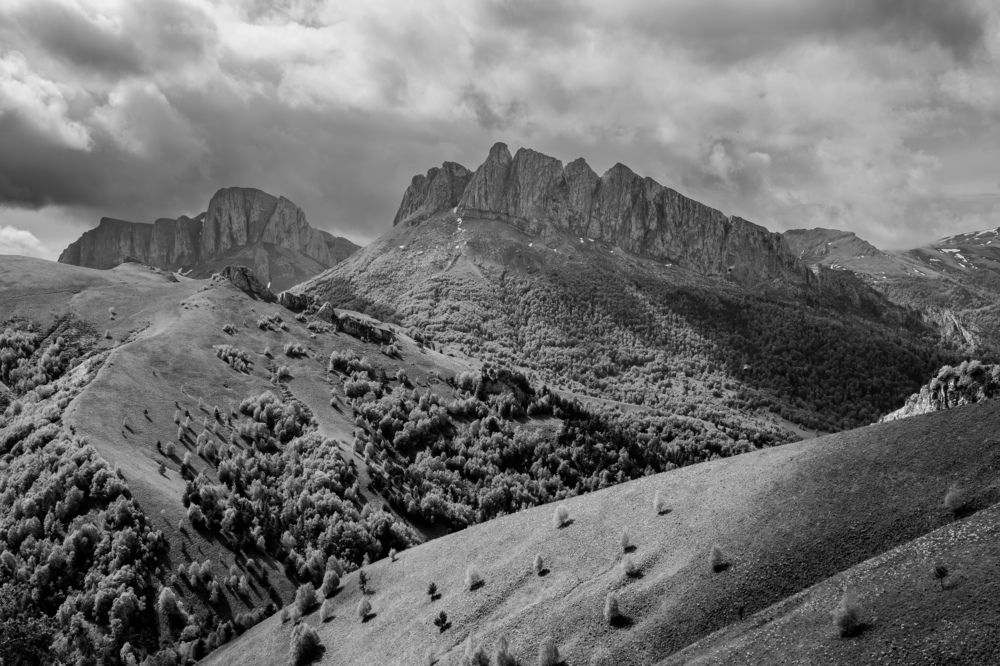 Photograph by Шишкалов Константин