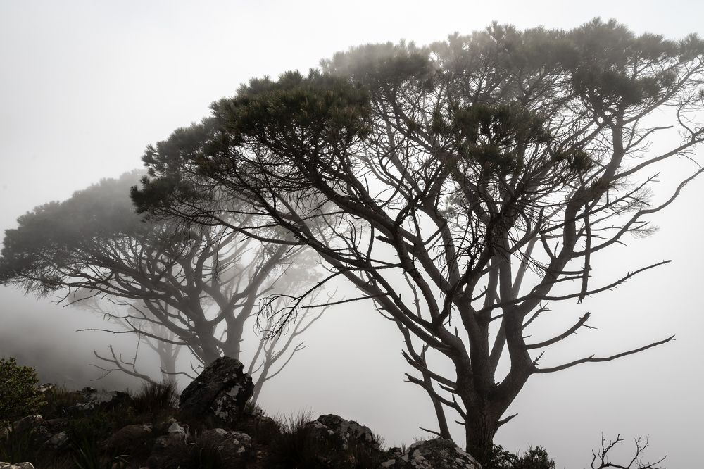 Photograph by Василий Бережной