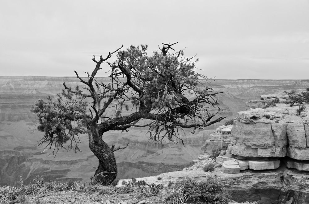 Photograph by Татьяна