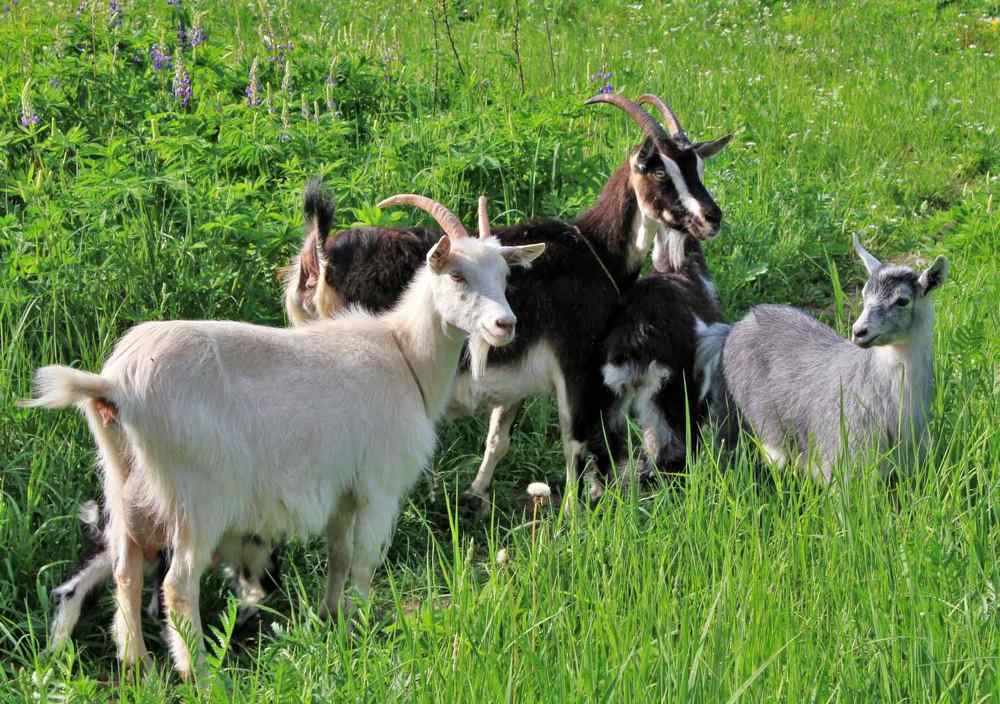 Photograph by Павел Васильев