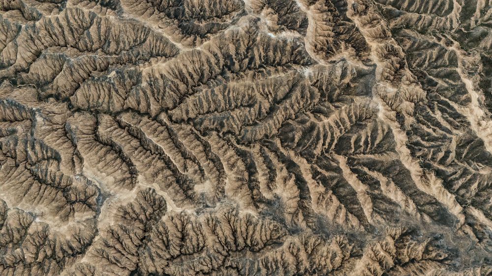 Photograph by Василий Бережной