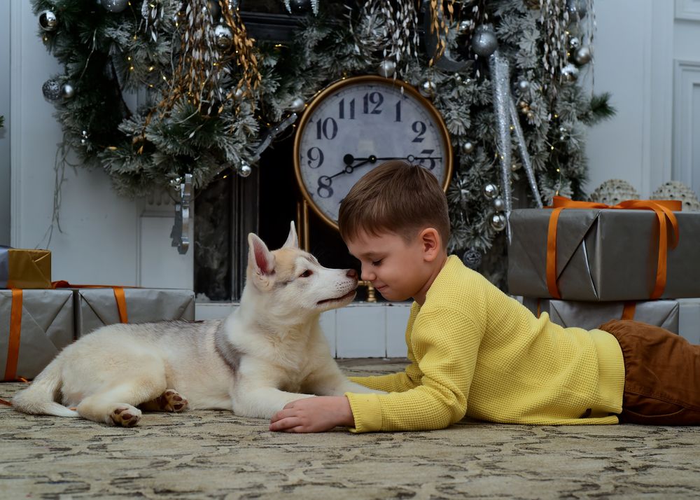 Photograph by Владислав Кравцов