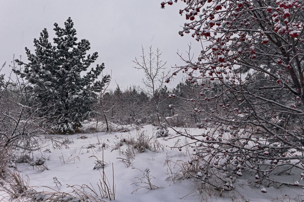 Photograph by Евгений Пятков