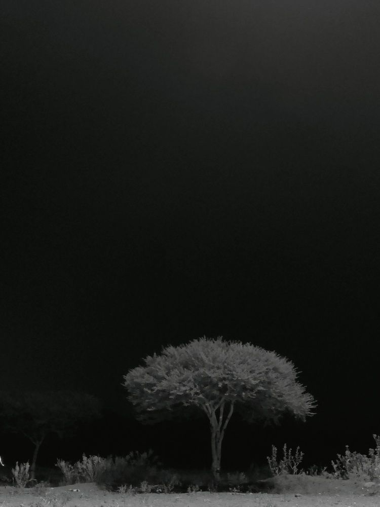 Photograph by Nandhakumar Velumani