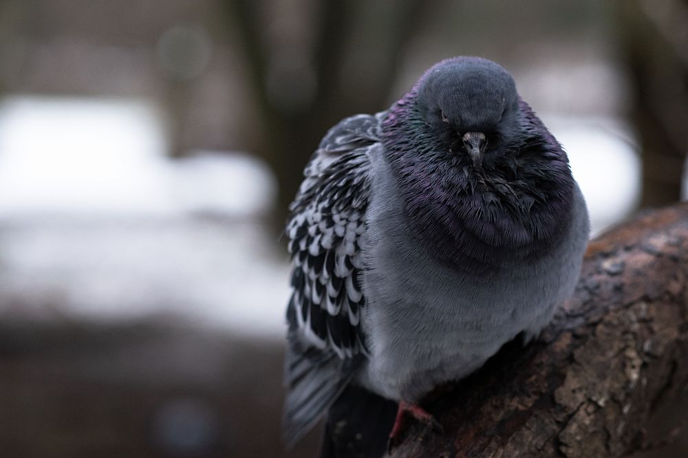 Photograph by Роман Гуров