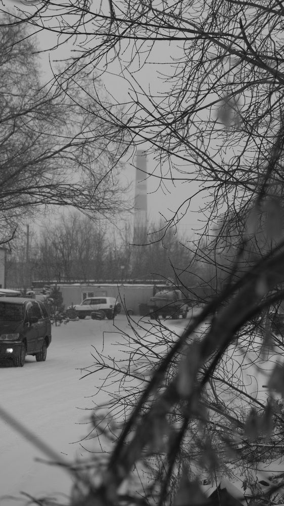 Photograph by Яна Истоцкая