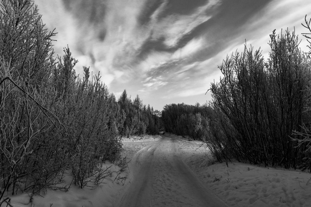 Photograph by Константин Хворостов