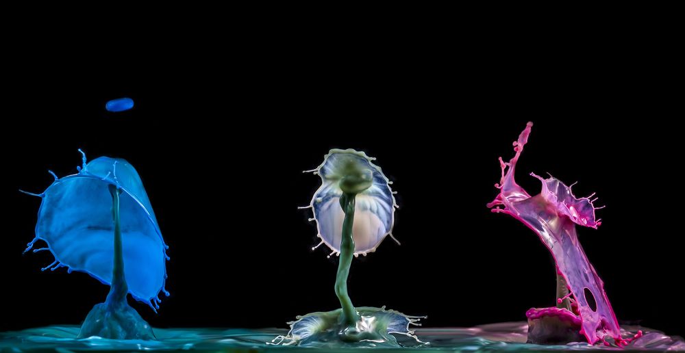 Photograph by Армашов-Тельник Григорий