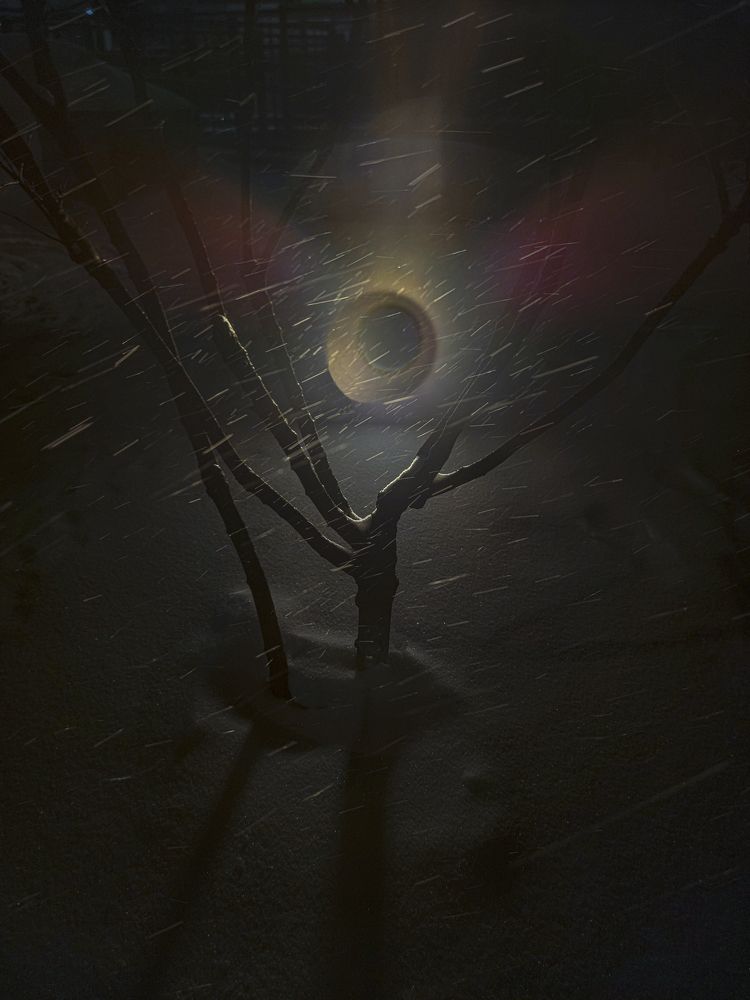 Photograph by Владимир Баулин