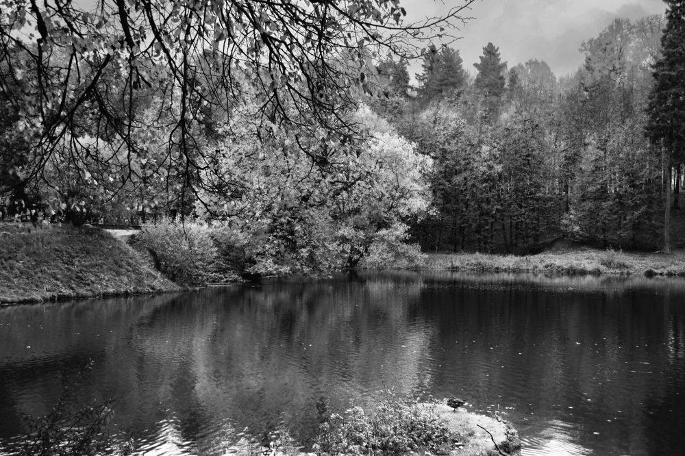 Осень в воздухе