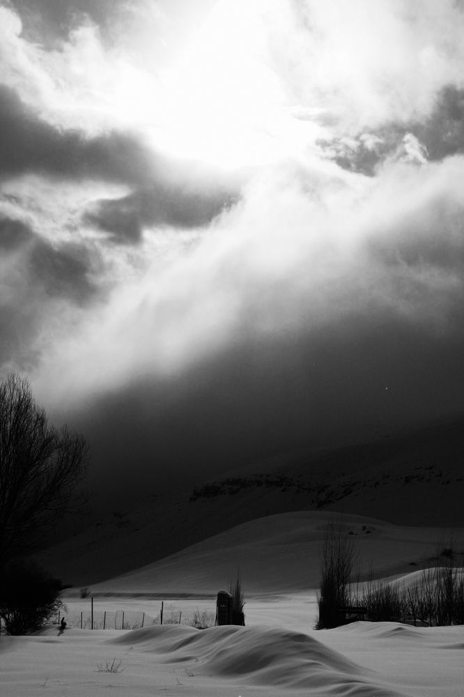 Photograph by Roghayeh Dannandeh