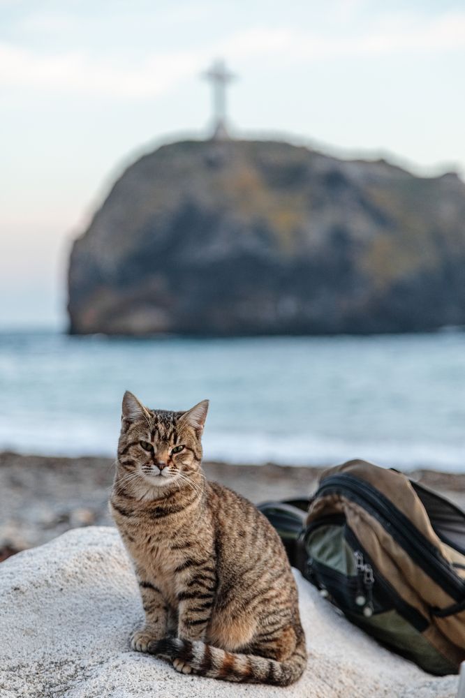 Фотография автора Сергей Качан