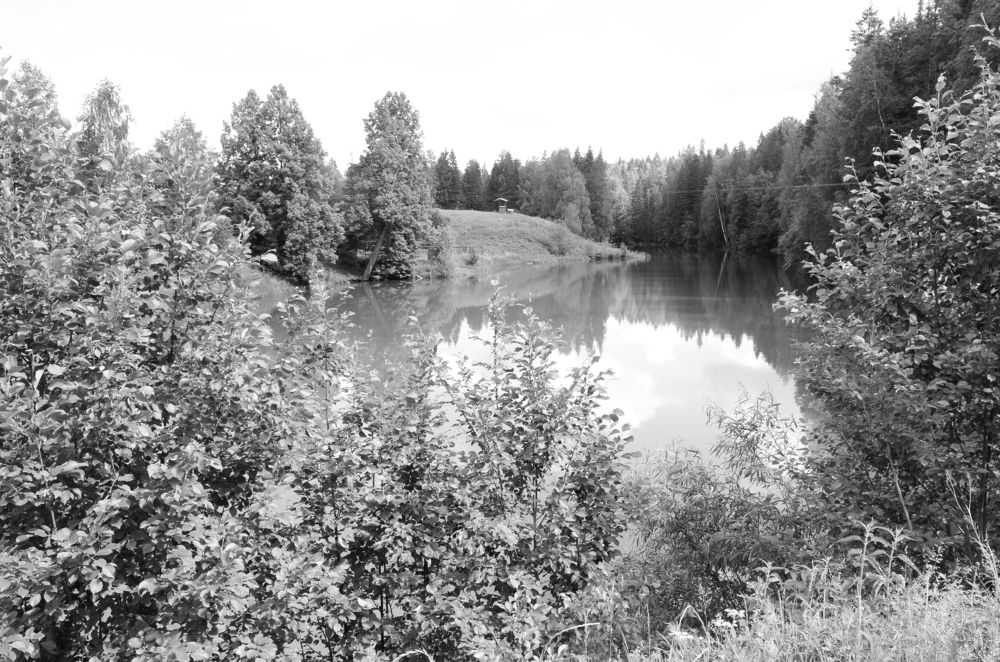 Фотография автора Алексей Власов