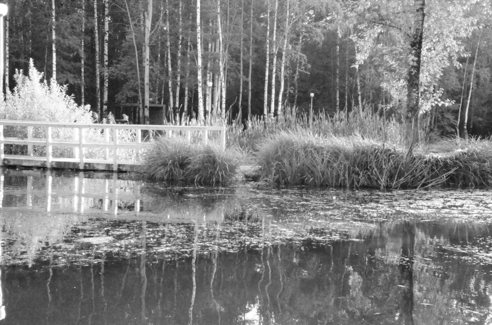 Фотография автора Алексей Власов