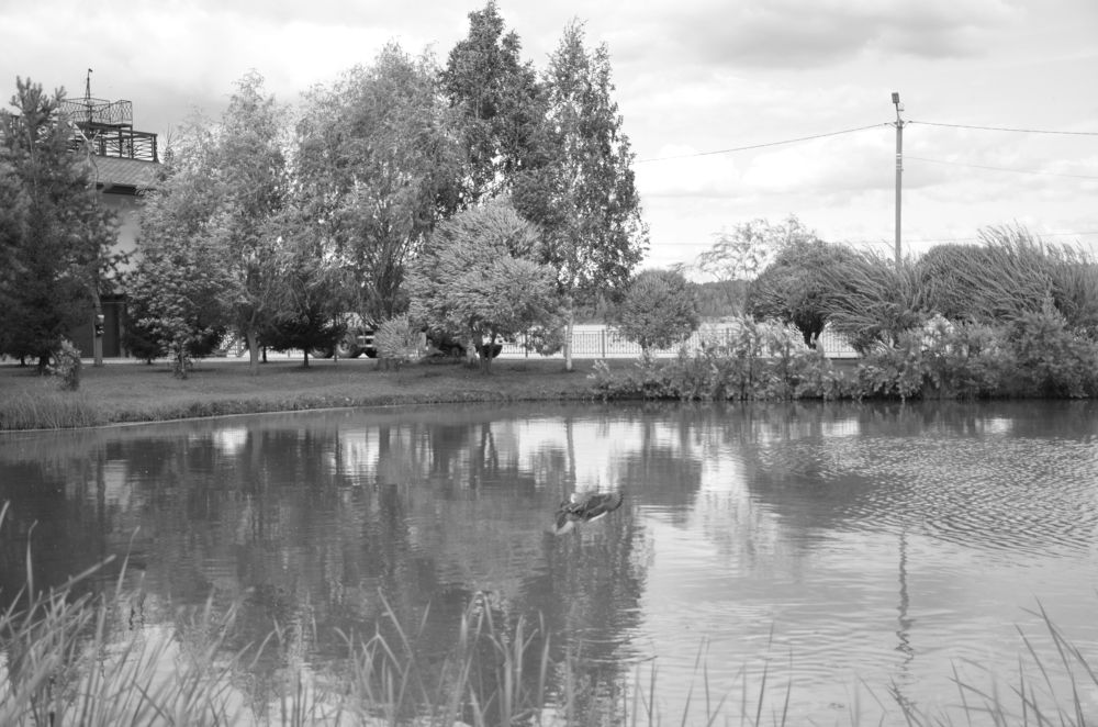 Фотография автора Алексей Власов