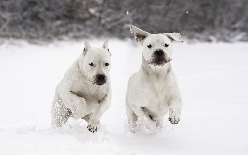 Фотография автора Ira Bushanska