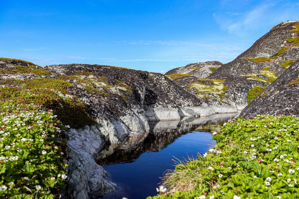 Photograph by Елена Рудкевич