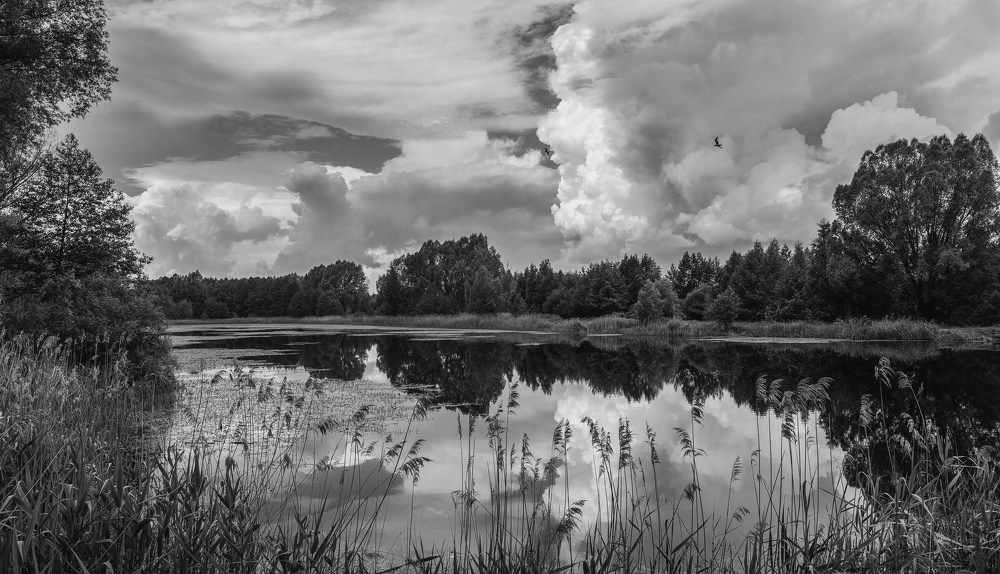 Photograph by Васильев Владимир