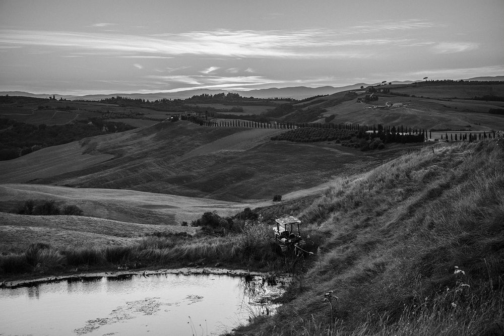 Photograph by Renee Johansson