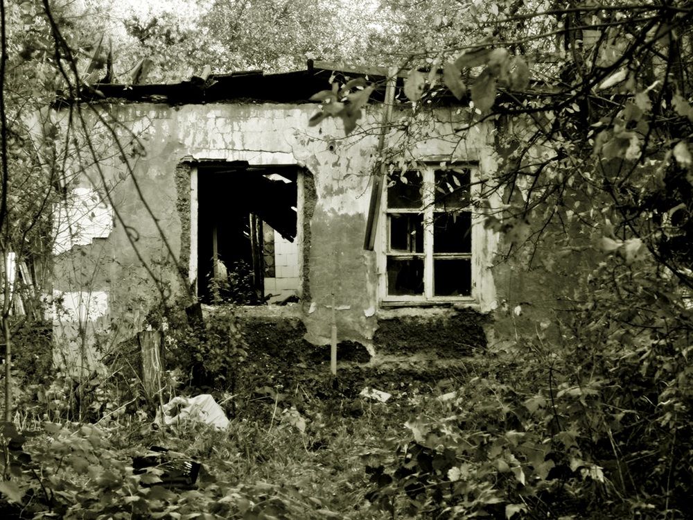 Photograph by Леонид Шнейдерман