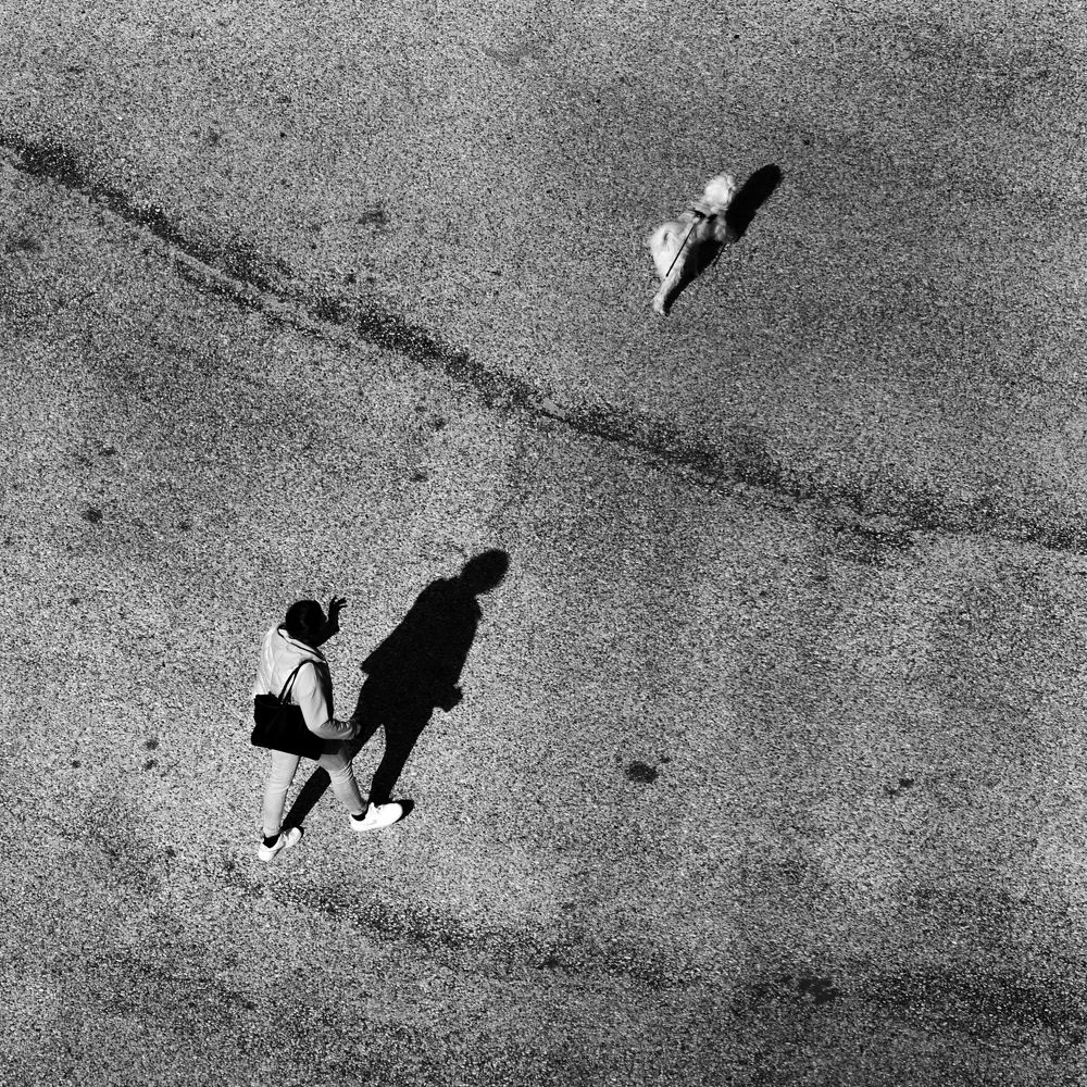 Photograph by Luca Menotti