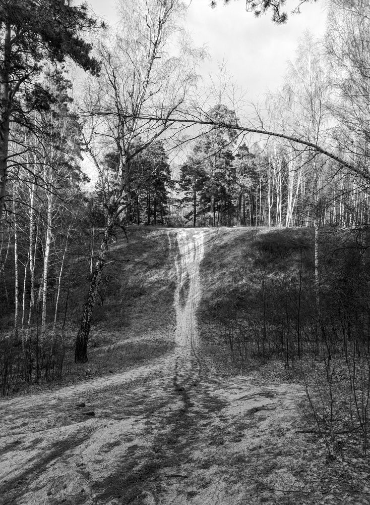 Photograph by Дарья