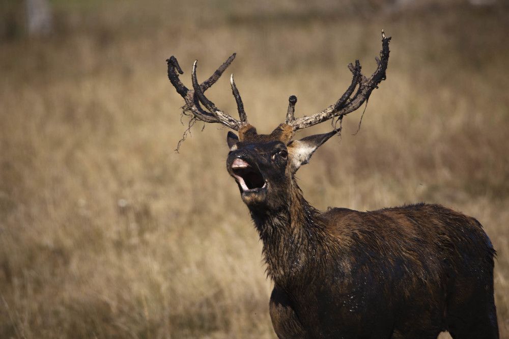 Photograph by Anna Suchcicka