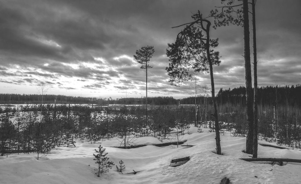 Photograph by Васильев Владимир