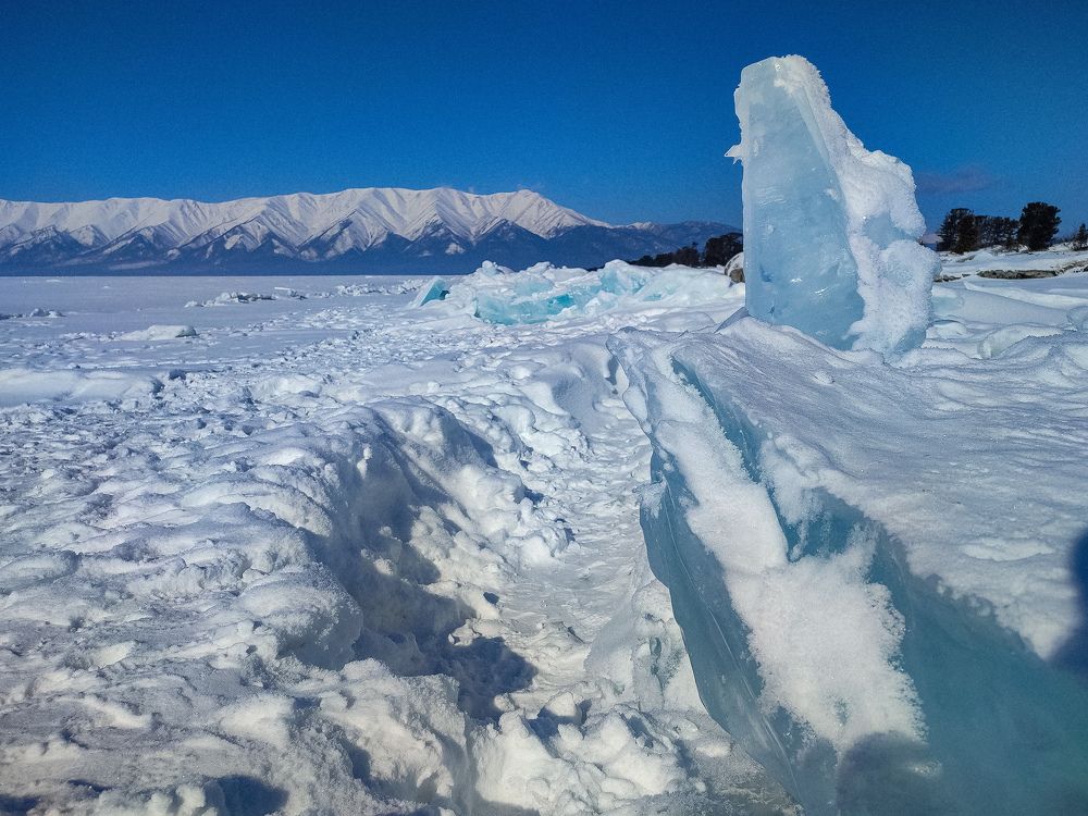 Фотография автора Нина Зинченко