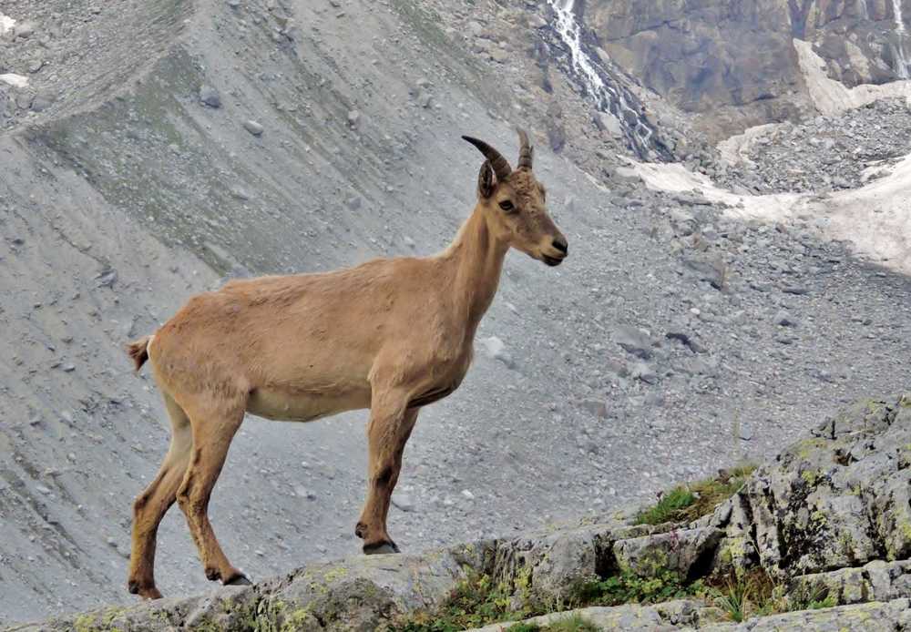 Photograph by Павел Васильев