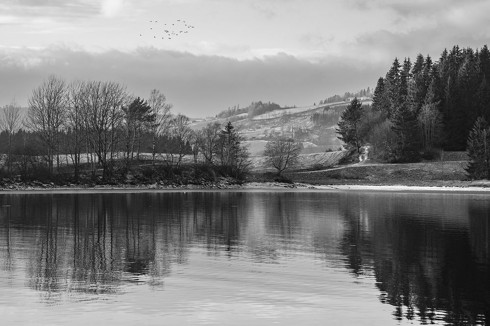 Photograph by Renee Johansson