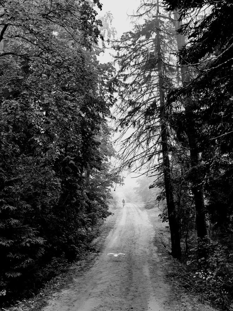 Photograph by Анна Шот