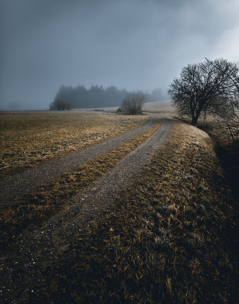 Photograph by sindrom777