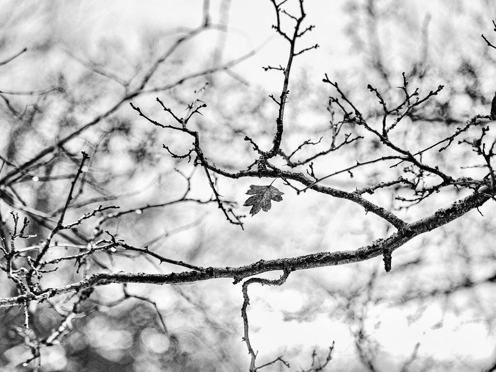 Фотография автора Елена Чиликина