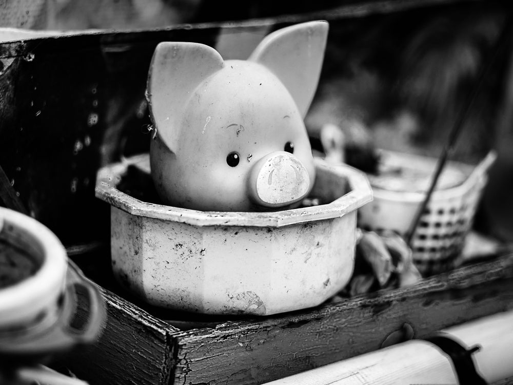 Фотография автора Елена Чиликина