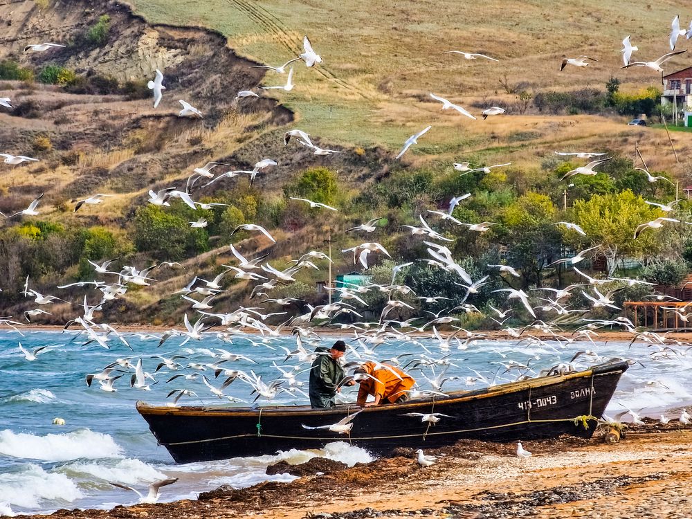 Photograph by Лариса Когтева