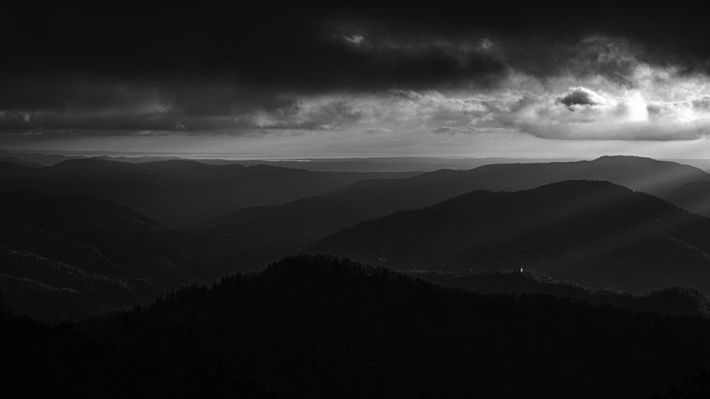 Photograph by Luca Menotti