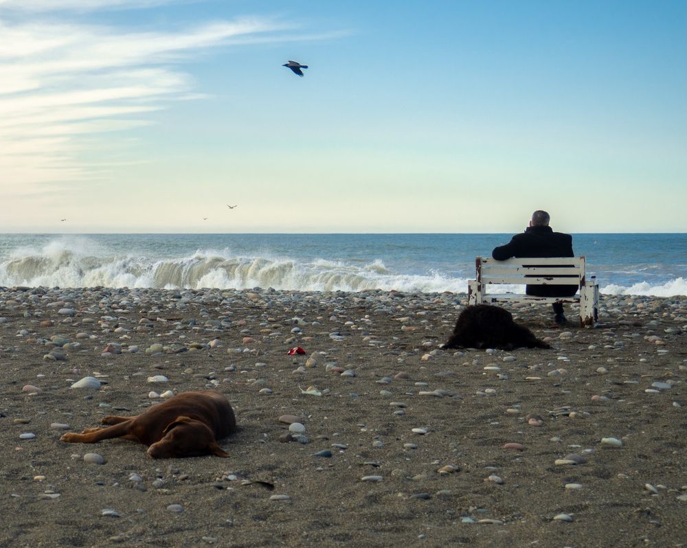 Photograph by Александр Пулуди