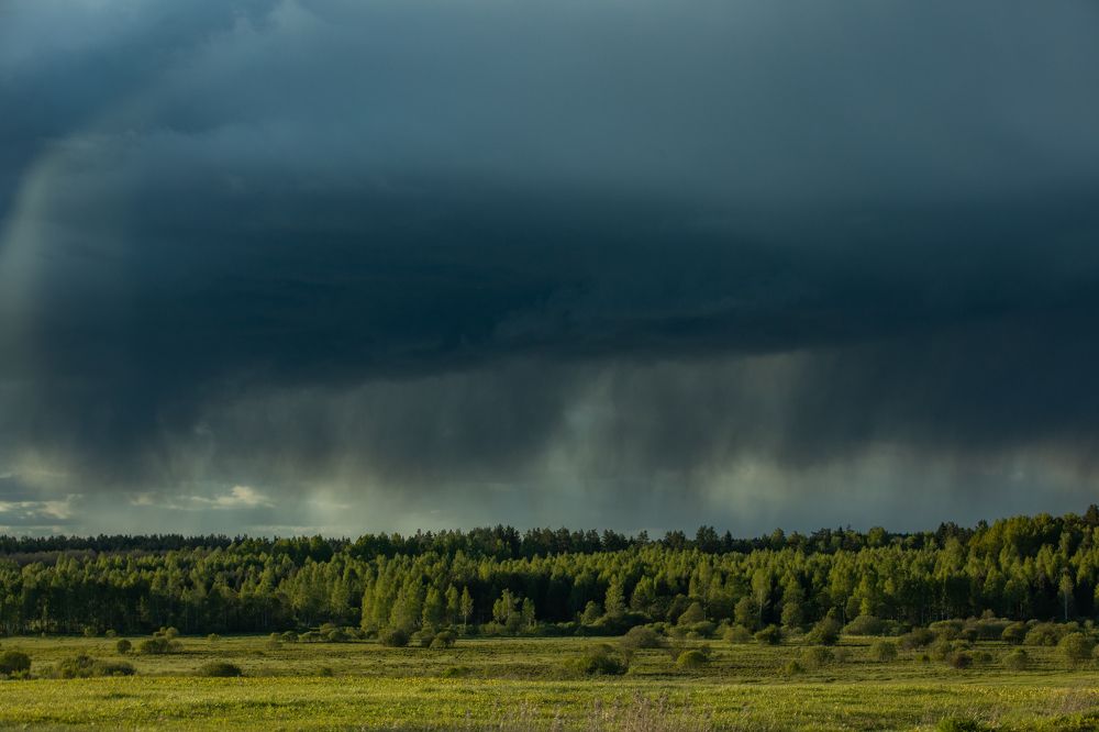 Photograph by Мария Бочкова