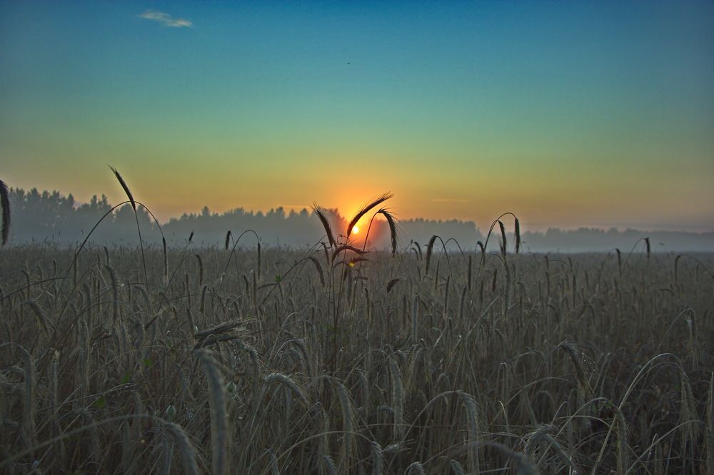 Фотография автора Анатолий Борисов