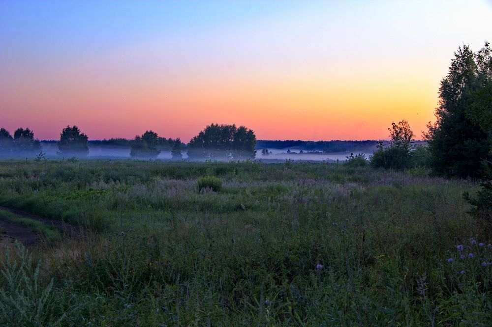 Фотография автора Анатолий Борисов