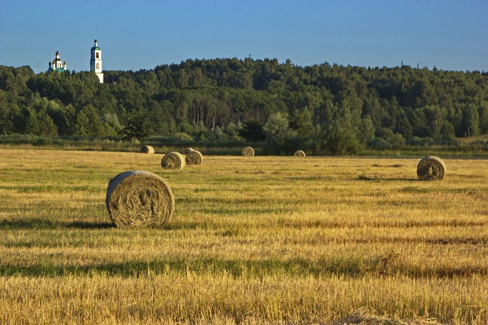 Фотография автора Анатолий Борисов