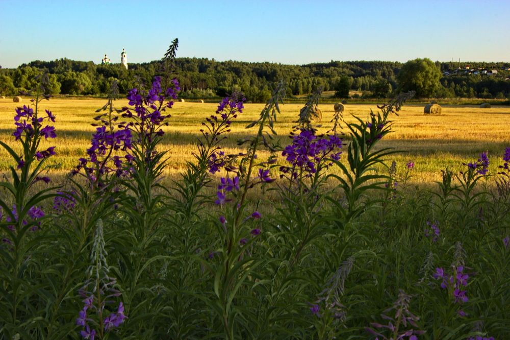 Фотография автора Анатолий Борисов