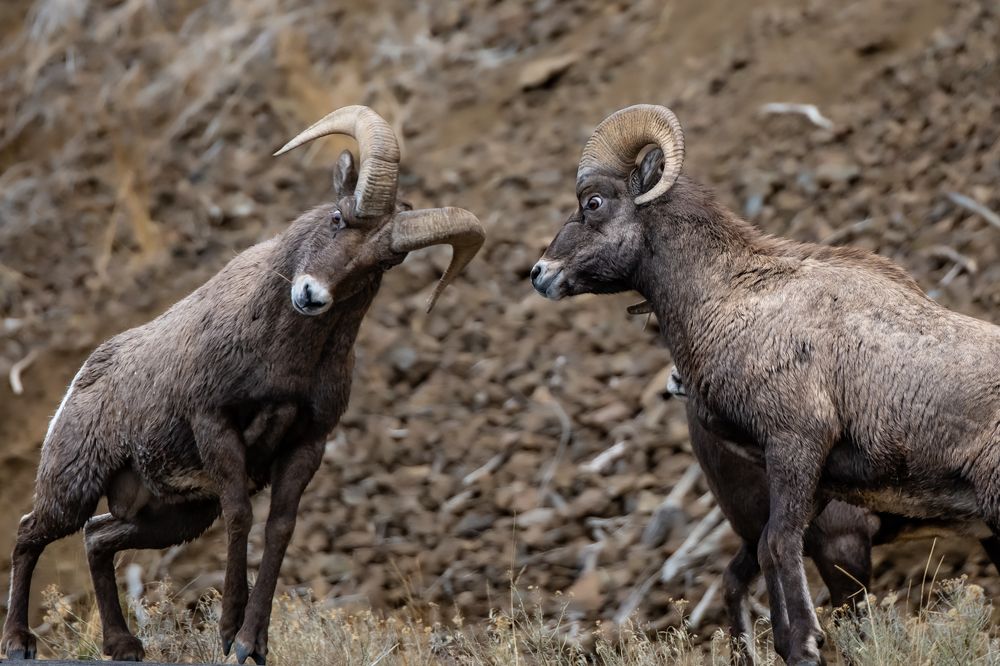 Photograph by Tony Douzenis