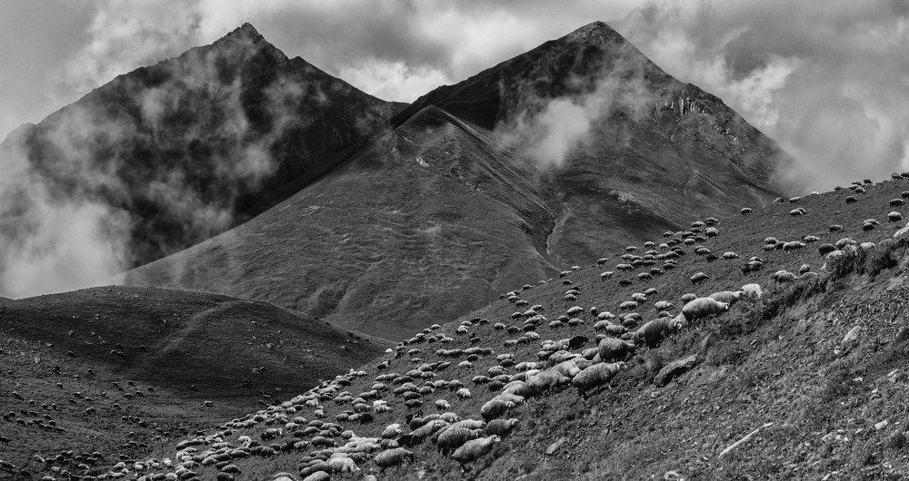 Photograph by Dimitri Bakhtadze