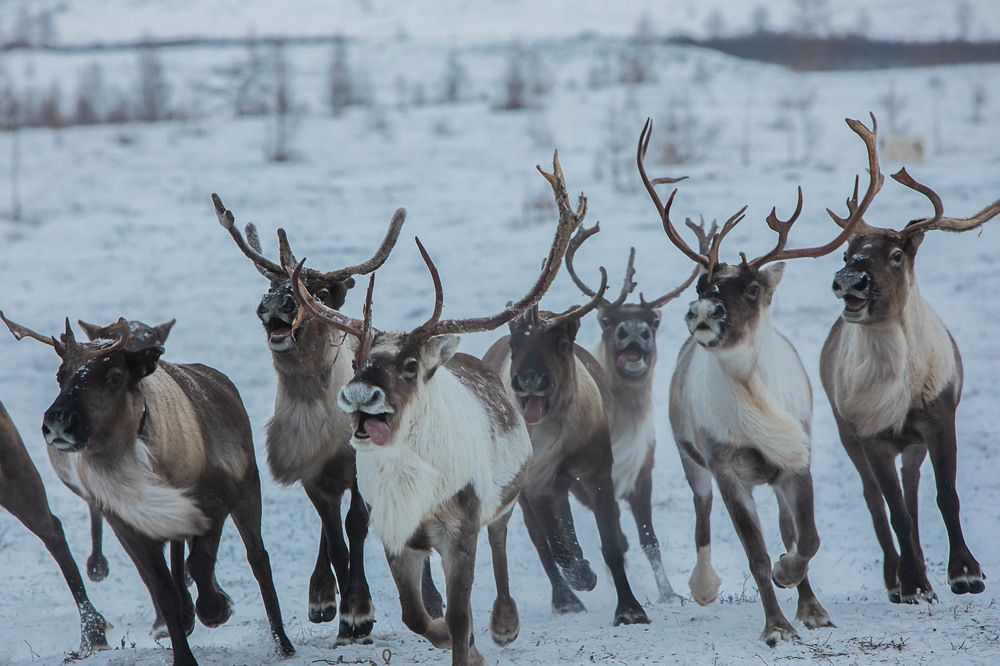 Photograph by Марина Маликова