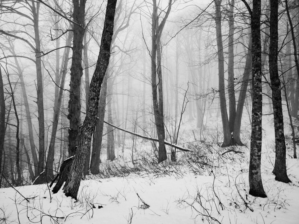 Photograph by Кристина