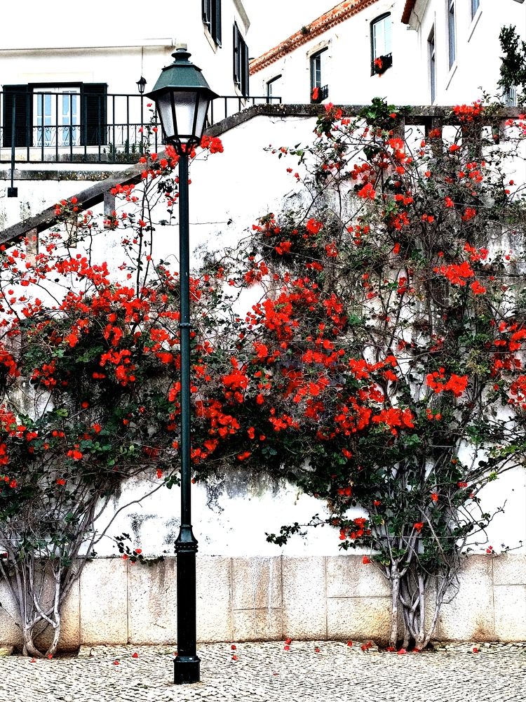 Alone but in good company