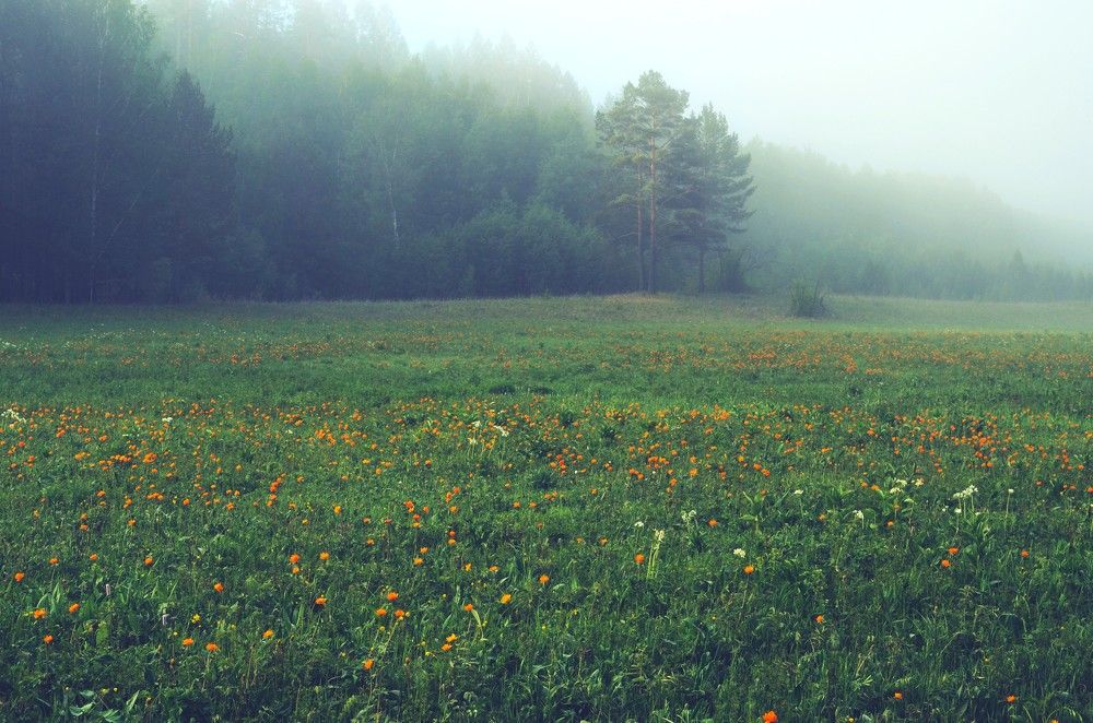 Photograph by Кристина