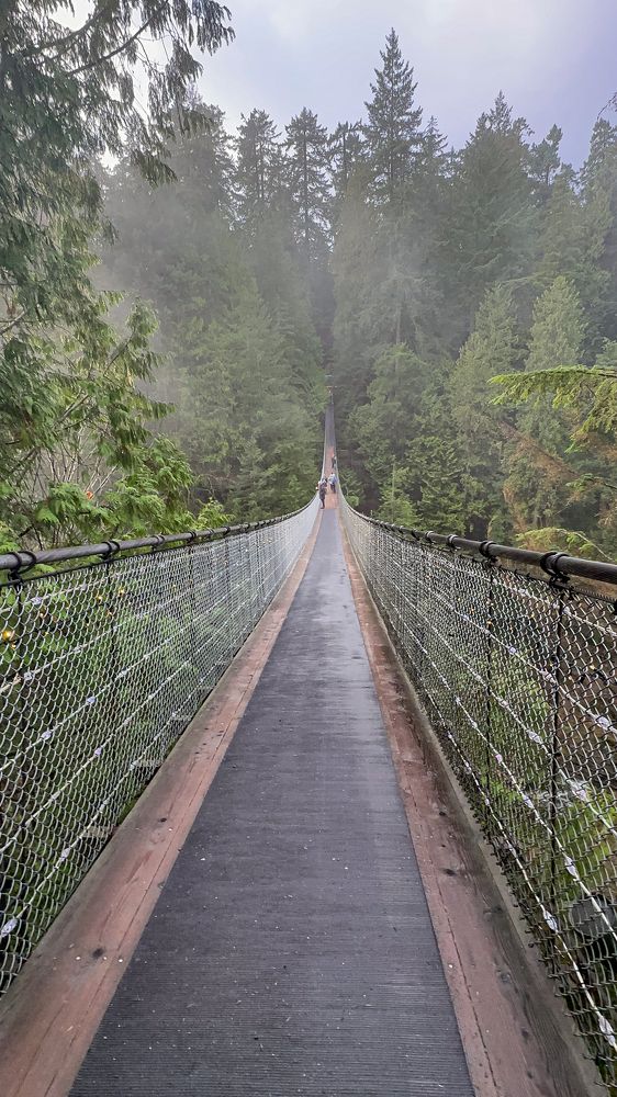 Photograph by Carolina